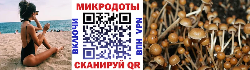 Галлюциногенные грибы MAGIC MUSHROOMS  что такое   Покачи 